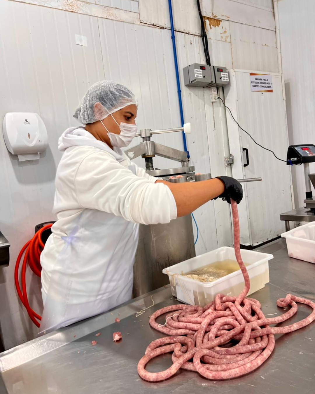 EMBUTIDOS (LINGUIÇA)